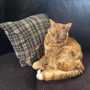 Meet your Posher, Bethany